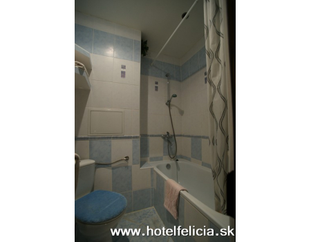 Hotel FELÍCIA ***